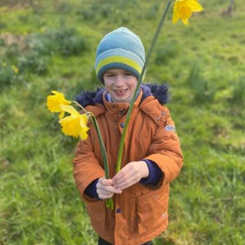 Daffodil Picking for Mothers Day 2024